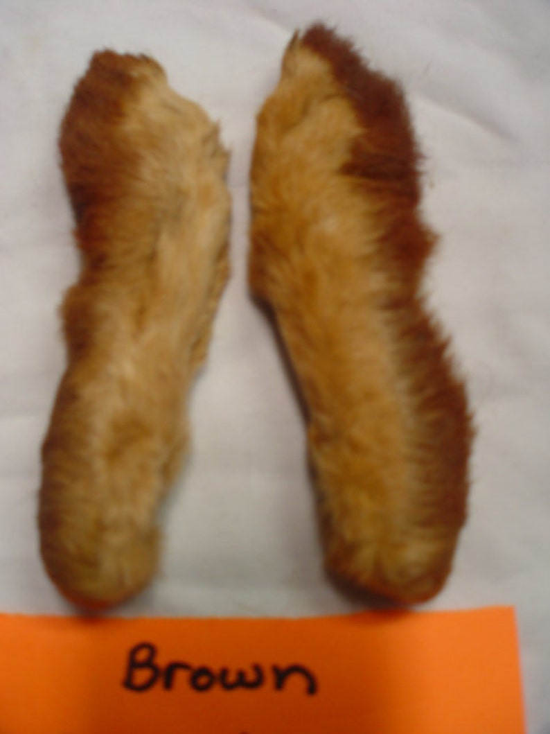 Two Dyed Brown Snowshoe Rabbit Back Feet for Fly Tying Etsy