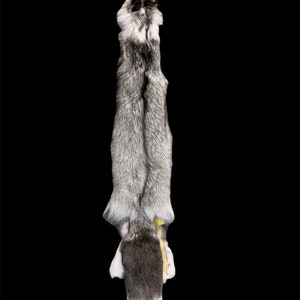 Ranch Platinum Fox Pelt n/feet 0X (NEW) (PR-9)