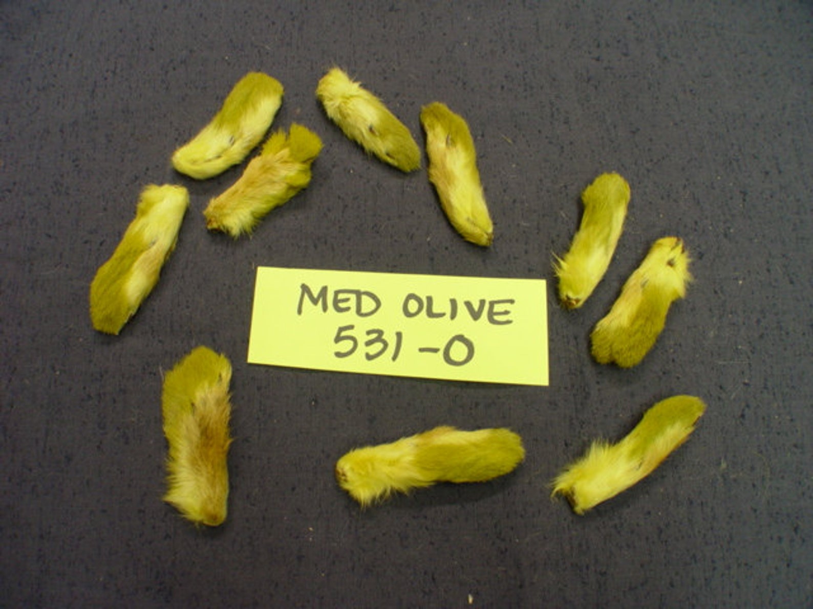 10 Natural or Dyed Snowshoe Rabbit Front Feet Fly Tying Lures - Etsy