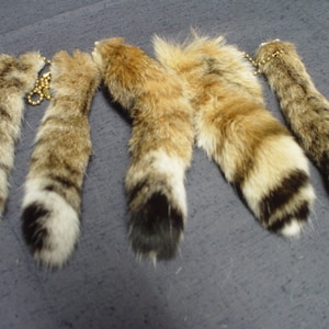 Genuine bobcat tail keychain (CHOOSE SIZE)