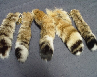 Genuine bobcat tail keychain (CHOOSE SIZE)