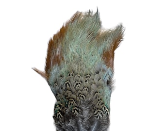 Natural Ringneck Pheasant Saddle Patch (1 Piece) Fly Tying Craft Supply