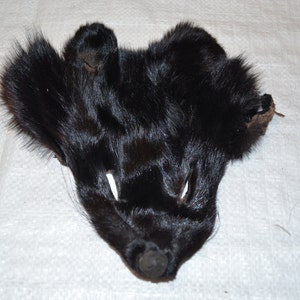 FOX Face dyed black image 3