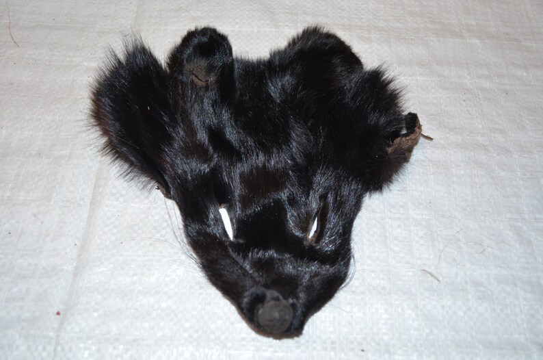 FOX Face dyed black image 3