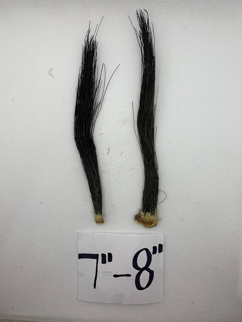 Turkey Beards choose Your Size Etsy