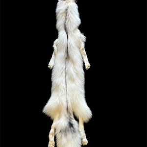 Ranch Red Marble Fox Pelt w/feet (NEW) (RRM-8) Taxidermy/Soft Mounts