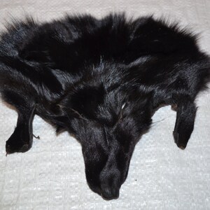 FOX Face dyed black image 2