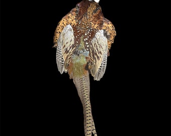 Ringneck Rooster Pheasant w/wings, tail and Skull