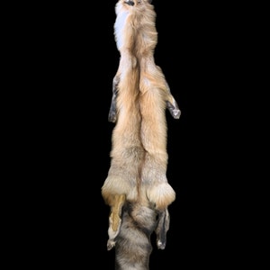 Ranch Red Cross Fox Pelt w/feet 2X (NEW) (RCF-63)
