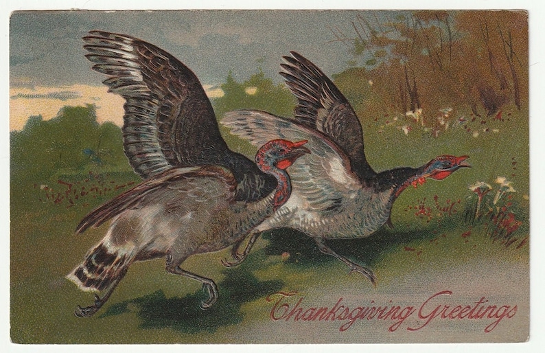 PFB Vintage Postcard Thanksgiving Wild Turkeys