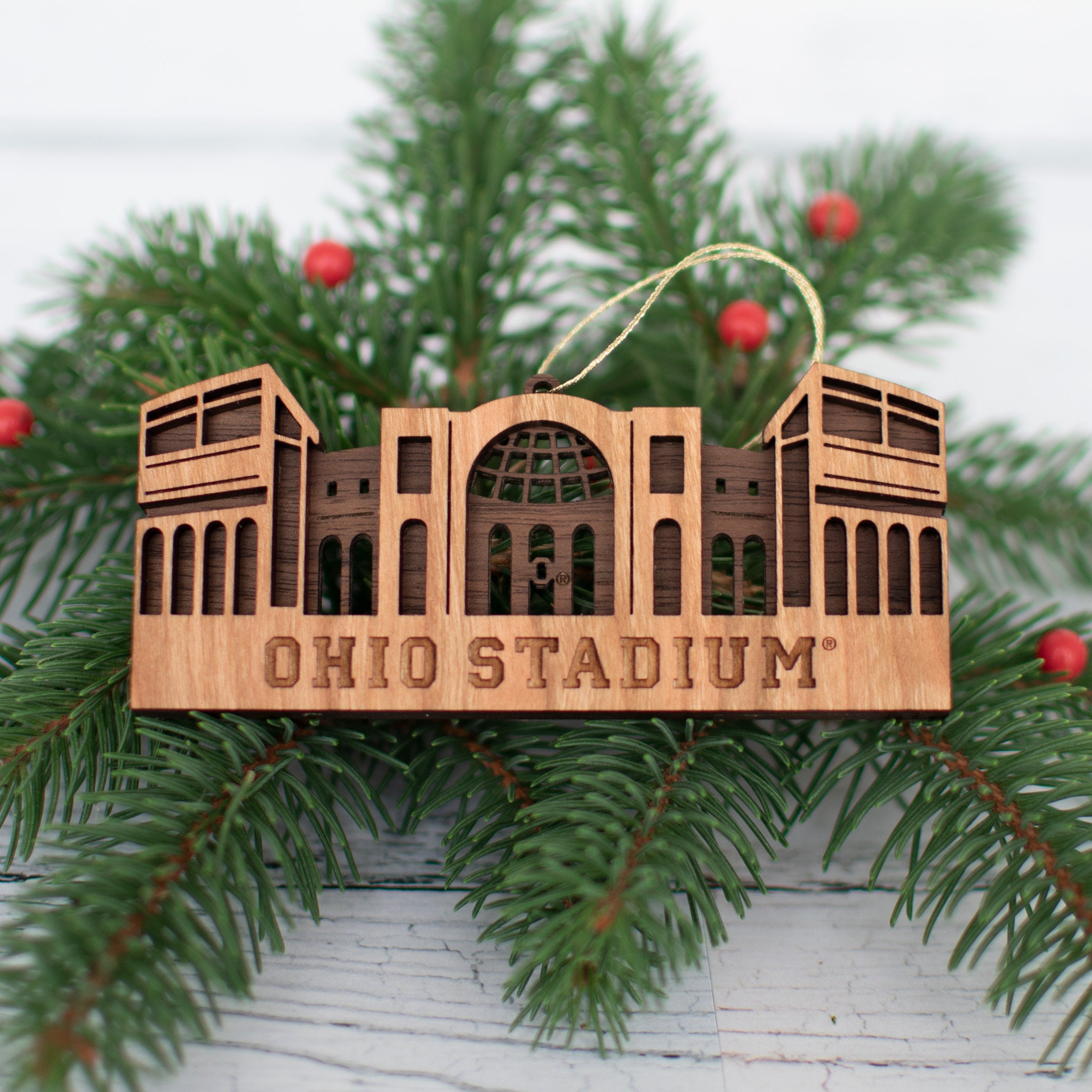 Best Ohio State Gifts (12 Awesome Ideas Fans Will LOVE!) — Nikki Lo