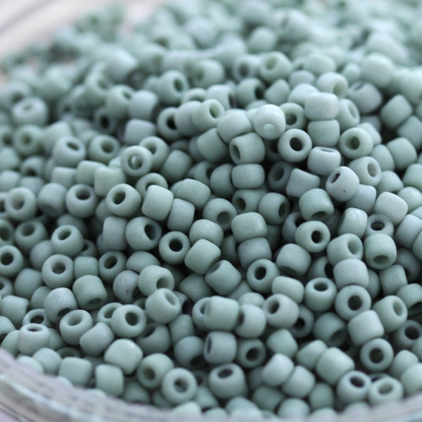 NEW!!! 20g 8/0 Frosted Celadon Matsuno seed beads - 20grams, frosted seed beads, beach style beads, ceramic looking beads