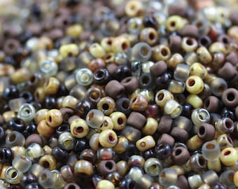 20g 8/0 Nature Path Picasso Mega Mix Japanese Seed Beads - 20grams - spectacular colors...