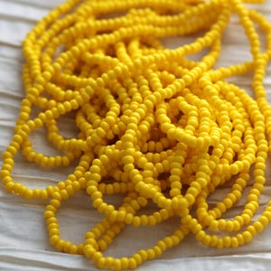 May include: A large pile of bright yellow seed beads. The beads are small and round, and they are arranged in a random pattern.