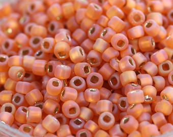 Discontinued!  30g 6/0 Matte Hyacinth AB Silver Lined Matsuno Seed Beads - 30grams - spectacular color...