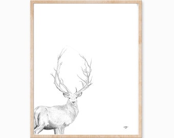 Deer Ink Print, Stag Ink Drawing, Stag Art, Buck print, Boho Decor, Deer Illustration, Deer Artwork, Deer Drawing, Woodland Art