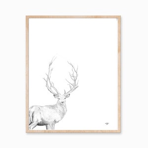 Deer Ink Print, Stag Ink Drawing, Stag Art, Buck print, Boho Decor, Deer Illustration, Deer Artwork, Deer Drawing, Woodland Art