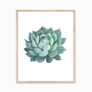 Succulent Print, Botanical Wall Art, Succulent Artwork, Plant Print