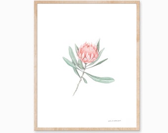 Protea Druck, botanische Kunst, minimale Pflanzenkunst, Blumendruck, Protea Blumenkunst, Vintage Pflanze Druck, Laub Kunst, Bauernhaus Dekor