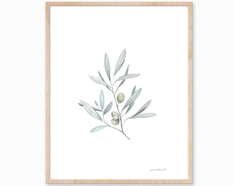 Olivenzweig Druck, Botanische Kunst, Olivenkunst, Minimale Pflanzenkunst, Olivenbaum Druck, Olivenmalerei, Pflanzendruck, Laubkunst, Peace Art