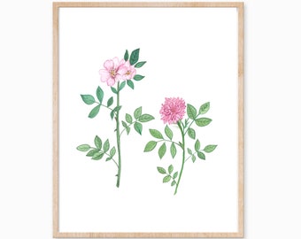 Wilde Rosen DIGITAL DOWNLOAD, Rose Instant Download, Vintage inspiriert botanische druckbare