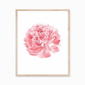 Pink Peony Print, Pink Flower Print, Botanical Art, Floral Print, Farmhouse Art, Gift for Her