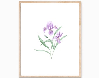 Lila Iris Druck, Wildblumen-Druck, Pflanze Druck, Iris Malerei, Blumendruck, botanische Kunst, Pflanze Dekor, Laub Kunst