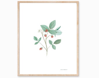 Raspberry Print, Plant Print, Vintage Botanical Art, Raspberry Art, Minimal Plant Decor, Foliage Art, Fruit Print, Farmhouse Print