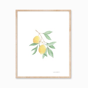 Lemon Print, Botanical Print, Farmhouse Art, Minimal Plant Art, Fruit Print, Lemon Painting, Farmhouse Print, Foliage Art, Botanical Art