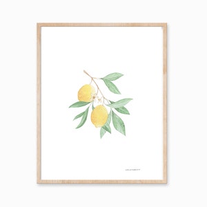 Lemon Art DIGITAL DOWNLOAD, Botanical Print, Farmhouse Print, Minimal Plant Art, Fruit Print, Lemon Painting, Foliage Art, Botanical Art