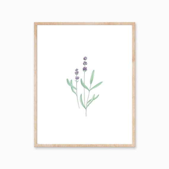 Lavender Print, Lavender Art, Plant Art, Plant Print, Floral Print, Minimal Art, Plant Decor, Foliage Art, Simple Art, Pretty Art