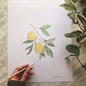 Lemon Art DIGITAL DOWNLOAD, Botanical Print, Farmhouse Print, Minimal Plant Art, Fruit Print, Lemon Painting, Foliage Art, Botanical Art image 2