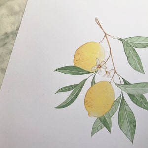 Lemon Art DIGITAL DOWNLOAD, Botanical Print, Farmhouse Print, Minimal Plant Art, Fruit Print, Lemon Painting, Foliage Art, Botanical Art image 4