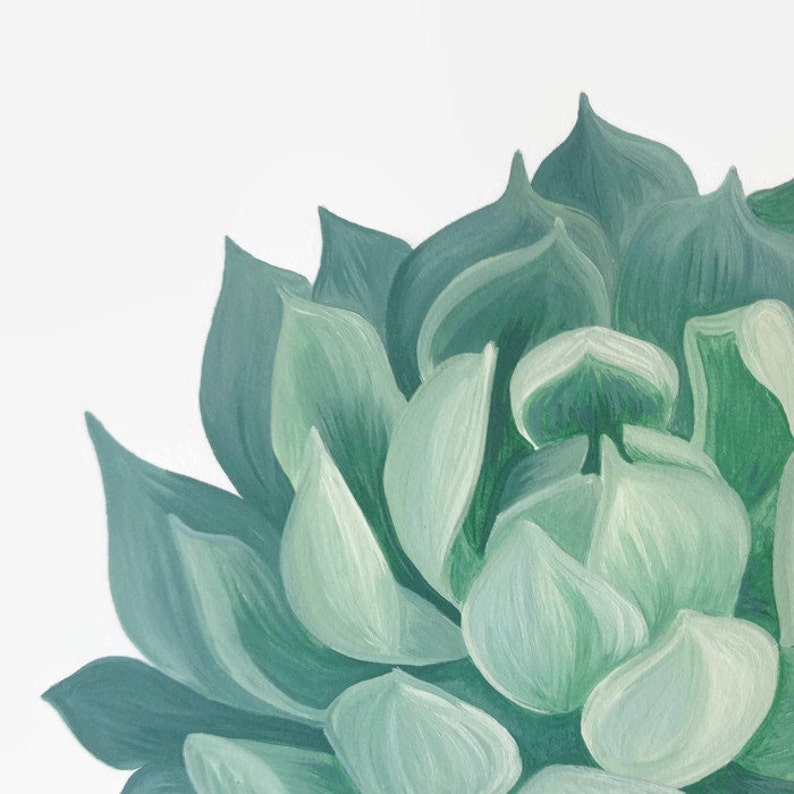 Succulent Print, Botanical Wall Art, Succulent Artwork, Plant Print image 4