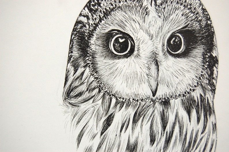 Owl Print, Owl Decor, Owl Ink Print, Owl Art, Owl Drawing, Owl Illustration, Owl Artwork, Owl Ink drawing, Owl Drawing Print, Owl Wall Decor 画像 3