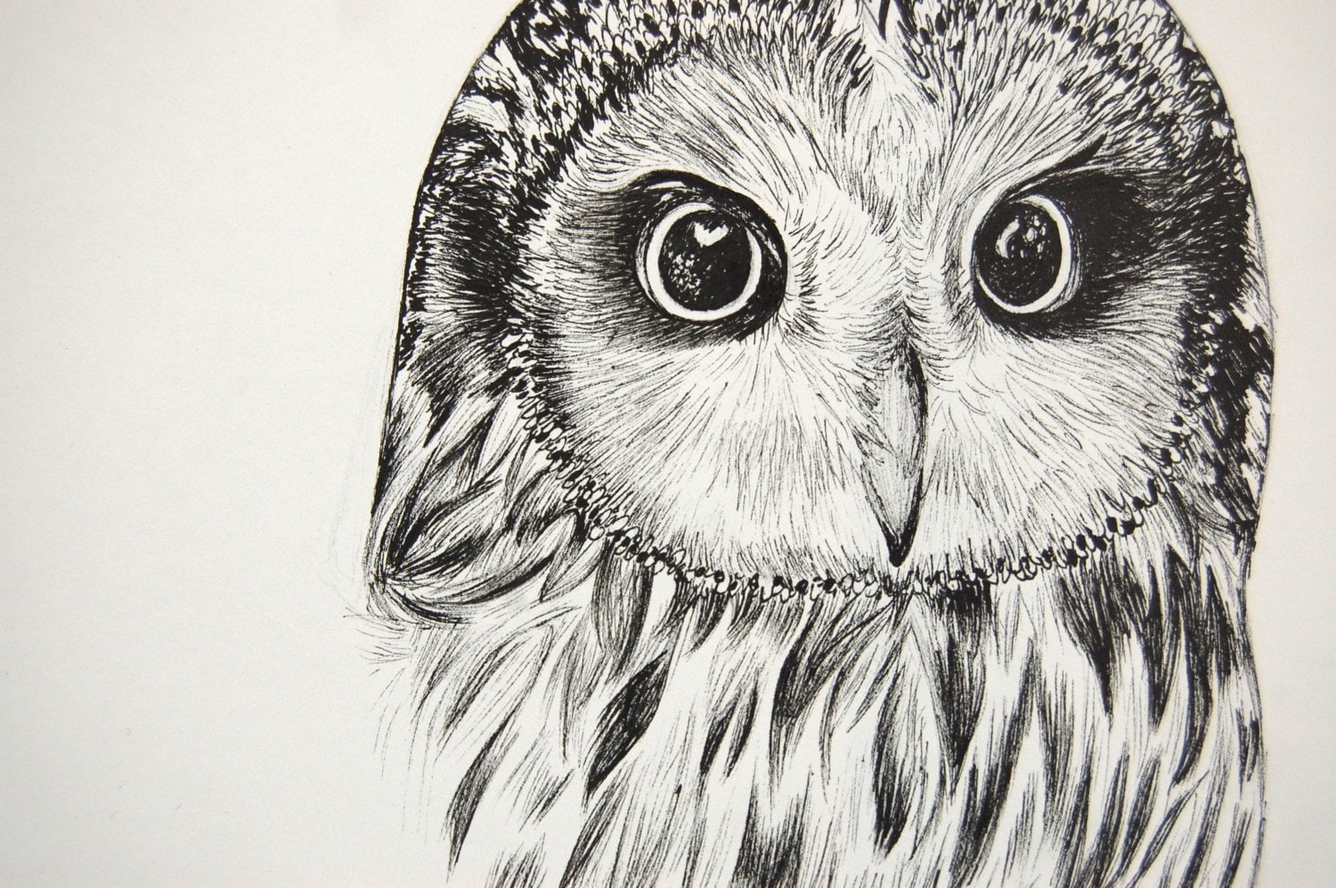 Owl Print Owl Decor Owl Ink Print Owl Art Owl Drawing Owl Etsy