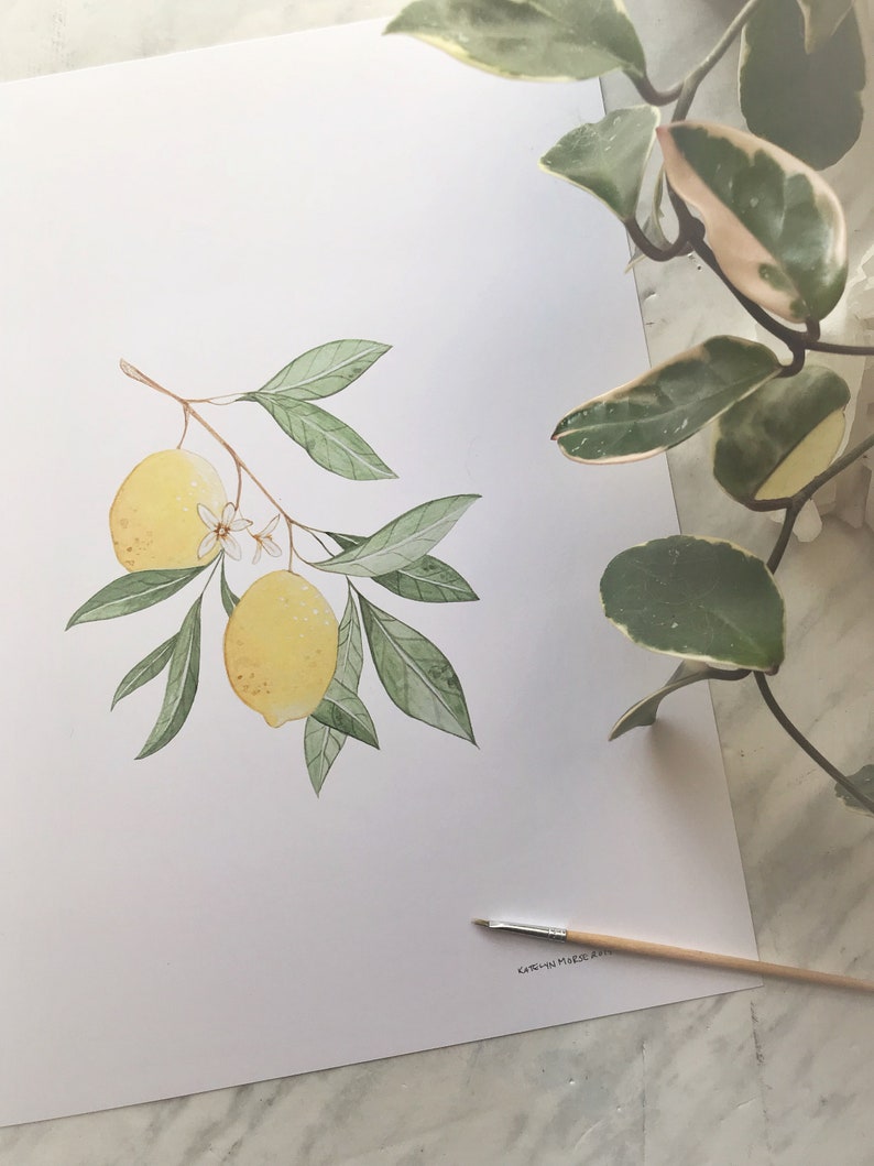 Lemon Art DIGITAL DOWNLOAD, Botanical Print, Farmhouse Print, Minimal Plant Art, Fruit Print, Lemon Painting, Foliage Art, Botanical Art image 3