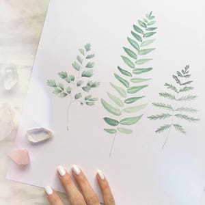 Op de afbeelding: Een wit vel papier met drie afzonderlijke aquarelillustraties van groene varenbladeren. Het kunstwerk toont verschillende tinten groen, van licht muntgroen tot diepe bostinten, en legt de delicate structuur en textuur van het gebladerte vast.
