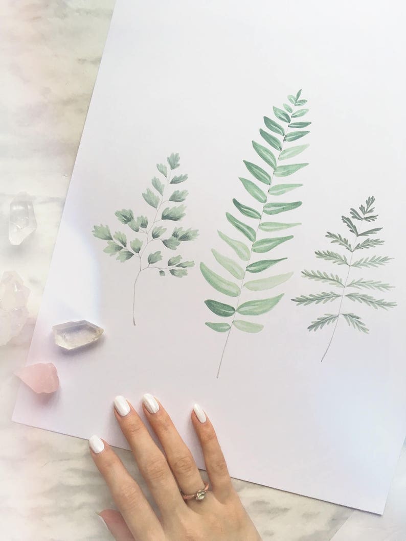 Op de afbeelding: Een wit vel papier met drie afzonderlijke aquarelillustraties van groene varenbladeren. Het kunstwerk toont verschillende tinten groen, van licht muntgroen tot diepe bostinten, en legt de delicate structuur en textuur van het gebladerte vast.