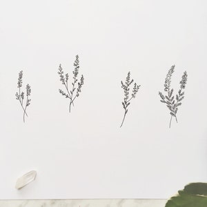 May include: Four simple line drawings of sprigs of heather on a white background.