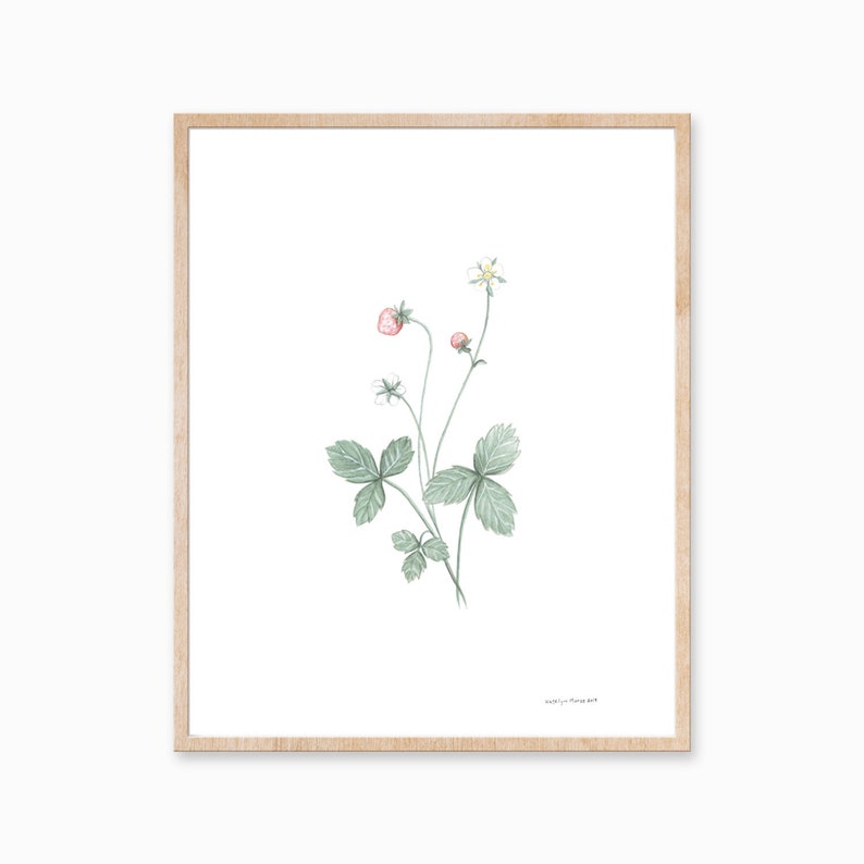Strawberry Print, Botanical Print, Farmhouse Art, Plant Art, Strawberry Painting, Plant Print, Minimal Plant Decor, Foliage Art image 1