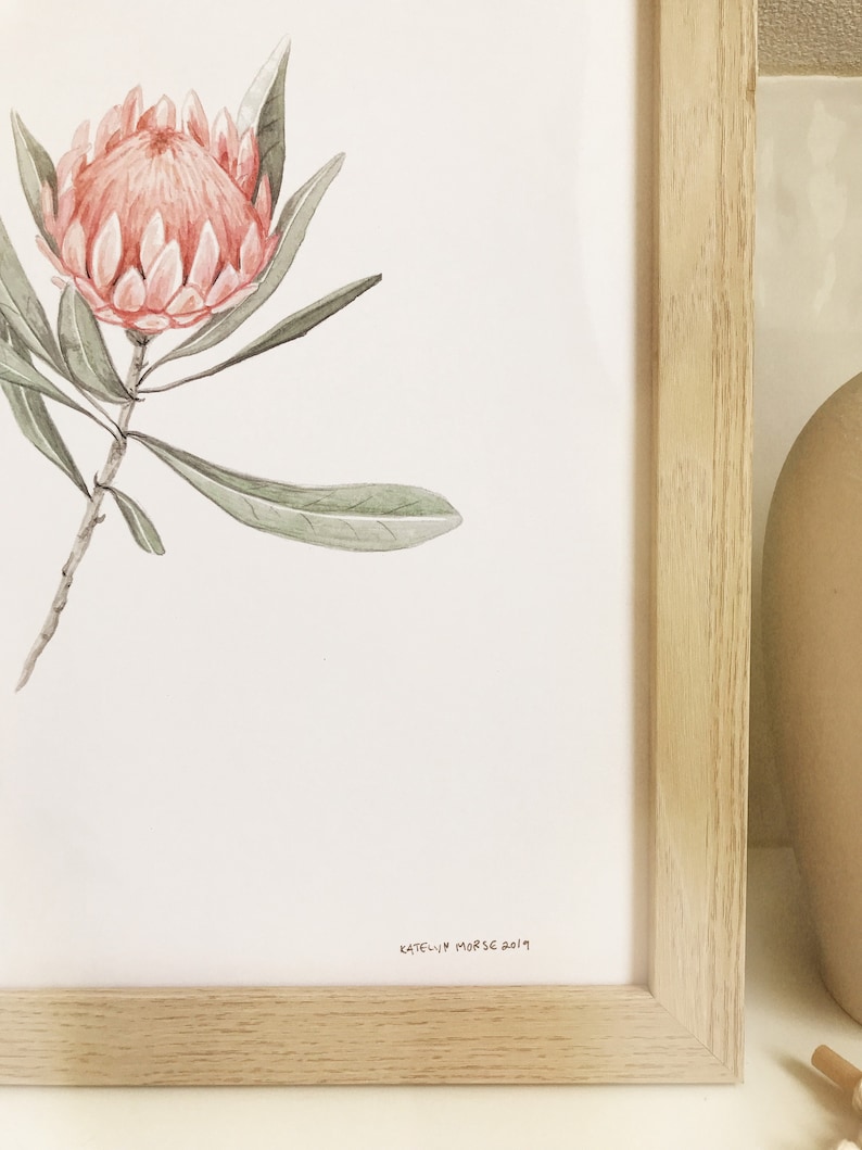 Protea Print, Botanical Art, Minimal Plant Art, Floral Print, Protea Flower Art, Vintage Plant Print, Foliage Art, Farmhouse Decor image 5