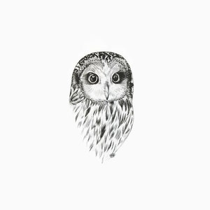 Owl Print, Owl Decor, Owl Ink Print, Owl Art, Owl Drawing, Owl Illustration, Owl Artwork, Owl Ink drawing, Owl Drawing Print, Owl Wall Decor image 2