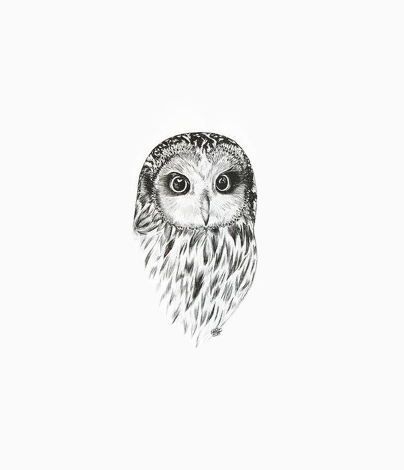 Owl Print, Owl Decor, Owl Ink Print, Owl Art, Owl Drawing, Owl Illustration, Owl Artwork, Owl Ink drawing, Owl Drawing Print, Owl Wall Decor image 2