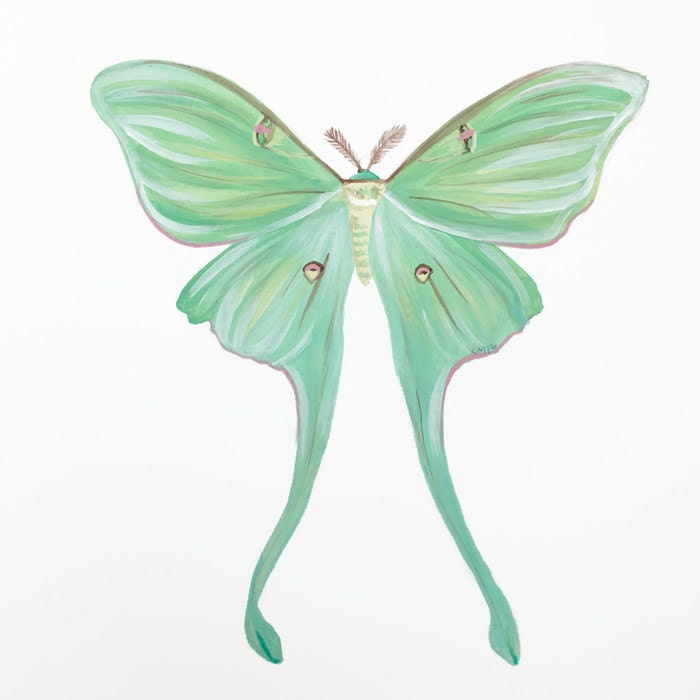 Butterfly Print, Butterfly Art, Luna Moth Print, Boho Print, Moth Art ...
