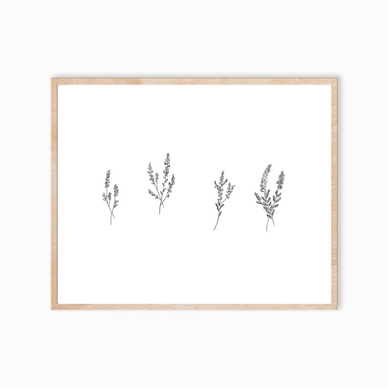 May include: A framed print with a minimalist design featuring four black line drawings of different types of foliage.