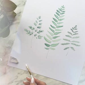 Op de afbeelding: Een wit vel papier met drie afzonderlijke aquarelillustraties van groene varenbladeren in verschillende vormen en maten. Het kunstwerk toont delicate penseelstreken en gelaagde tinten groen, vari&euml;rend van licht muntgroen tot diepe bostinten.