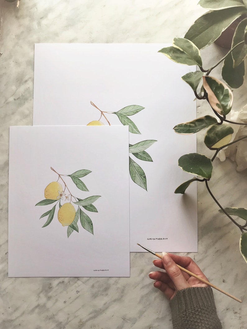 Lemon Art DIGITAL DOWNLOAD, Botanical Print, Farmhouse Print, Minimal Plant Art, Fruit Print, Lemon Painting, Foliage Art, Botanical Art image 5
