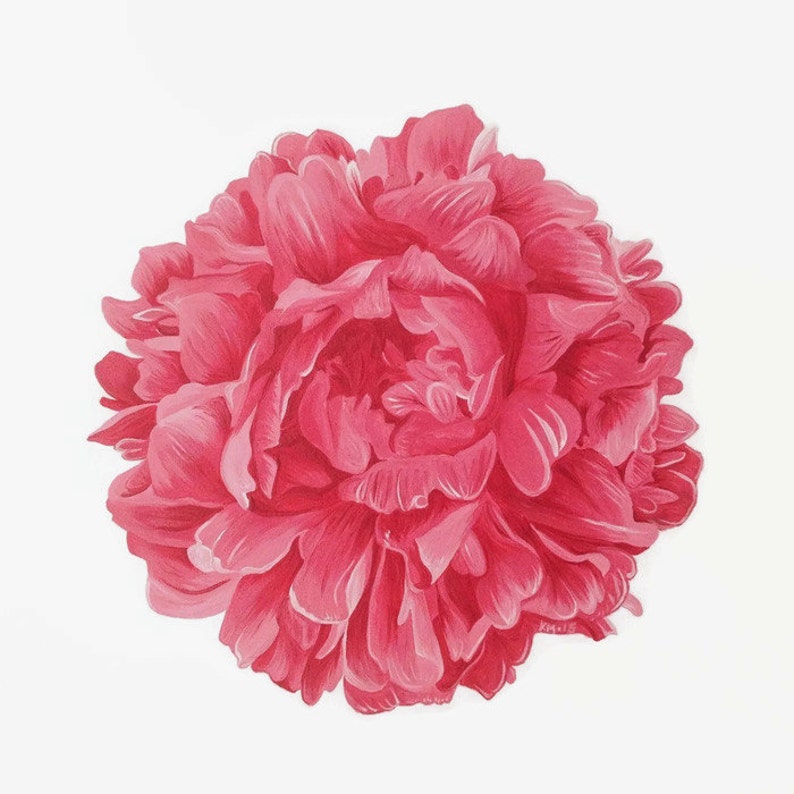 Impresión de flor rosa, impresión floral, impresión de peonía roja, arte de la flor roja, flor rosa, arte de la flor, arte de la peonía imagen 2