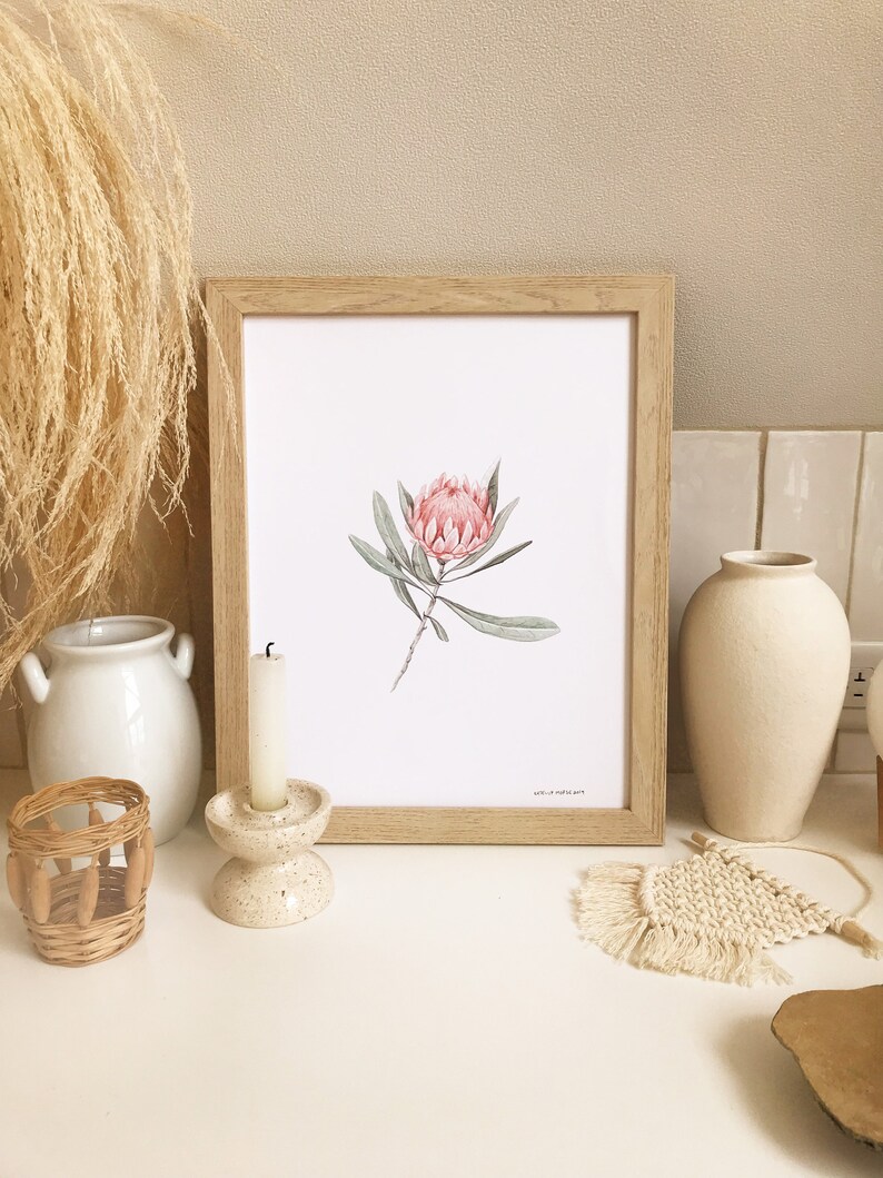 Protea Print, Botanical Art, Minimal Plant Art, Floral Print, Protea Flower Art, Vintage Plant Print, Foliage Art, Farmhouse Decor image 3